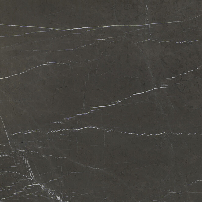 Venezia Stone Pietra Grey Лощеный