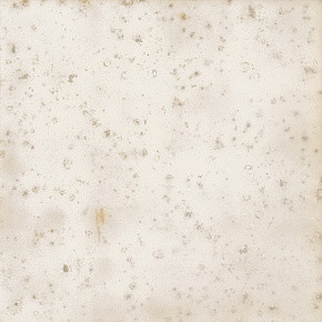 WOW Enso Nakama Ivory (24 patterns) 12.5x12.5