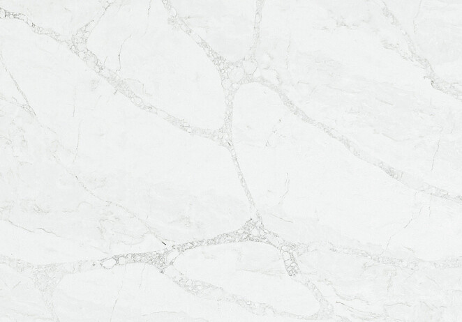 Vicostone Exotic Grey Monet BQ-6800