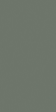 Tau Tornares Green Rec 60x120