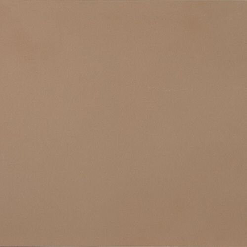 Casalgrande Padana R-evolution Terra 10mm 60х60