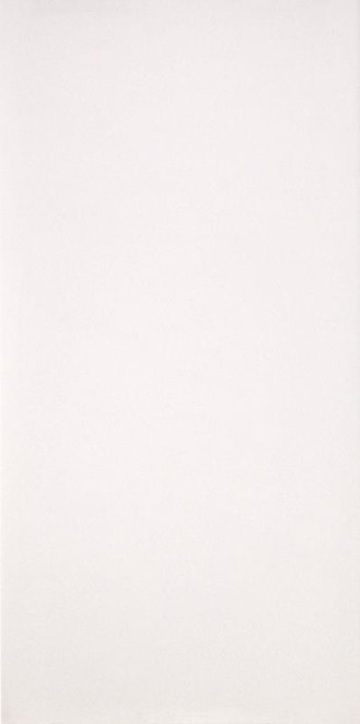 Casalgrande Padana Marmoker Canova Lucido 6.5 Mm 160x320