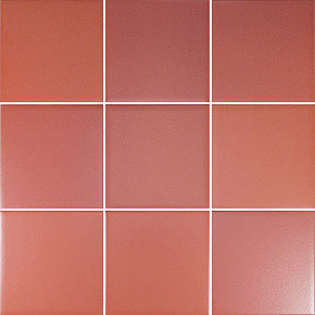 WOW Six Coral 14x16