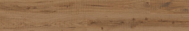 Buono Ceramica Forest Forest Nature Roble Matt 60*120