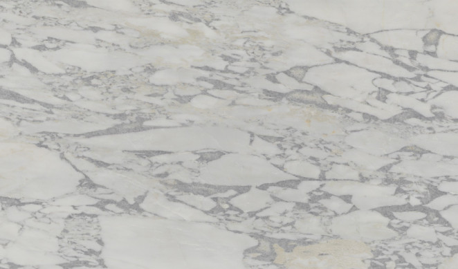 Venezia Stone Мрамор Arabescato Ango 20Mm