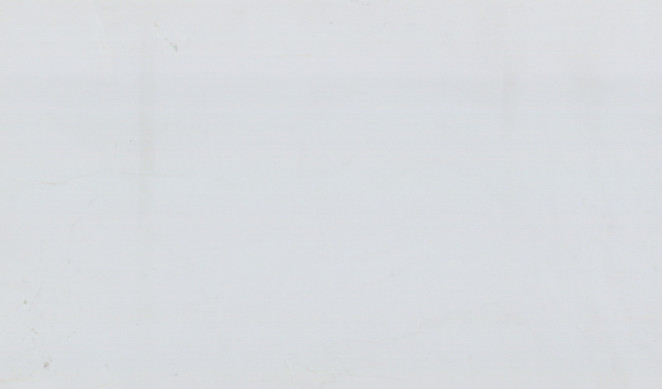 Venezia Stone EXTRA Мрамор Thassos Pure White Extra 20Mm