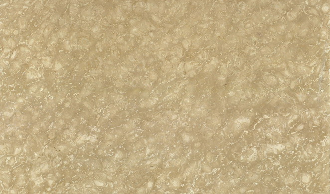 Venezia Stone Мрамор Shells Reef Beige Leather 20Mm