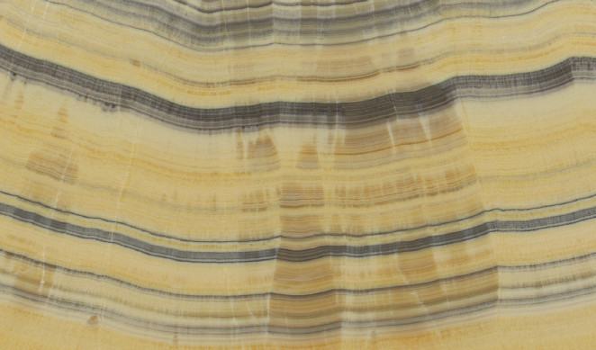 Venezia Stone Onice Tigrato 20Mm