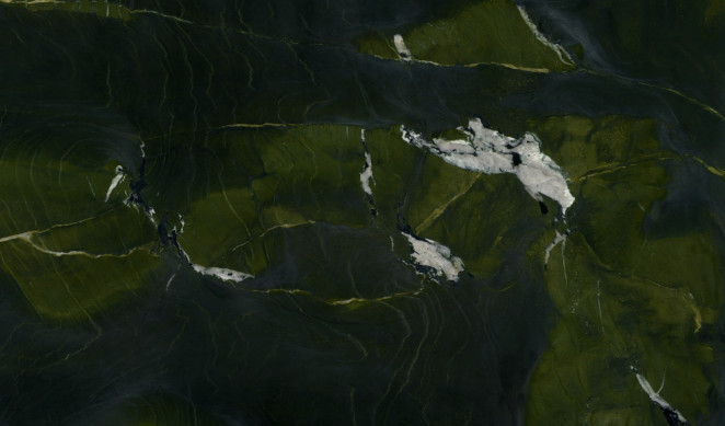 Venezia Stone Кварцит Avocatus Leather 20Mm