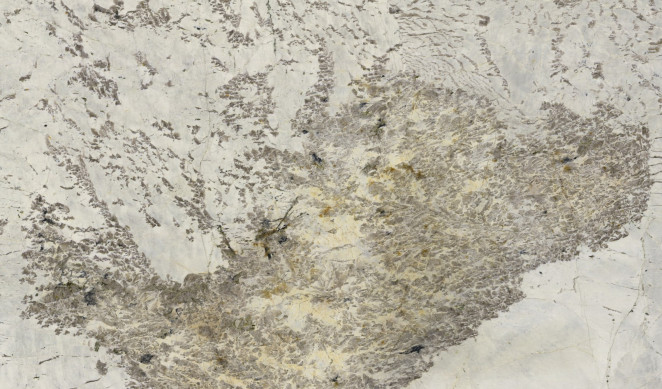 Venezia Stone Гранит Alpinus 20Mm