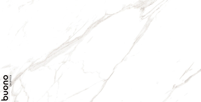 Buono Ceramica Marble Marble Carrara Livia glossy 60x120