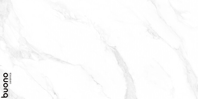 Buono Ceramica Marble Marble Carrara Anita glossy 60x120
