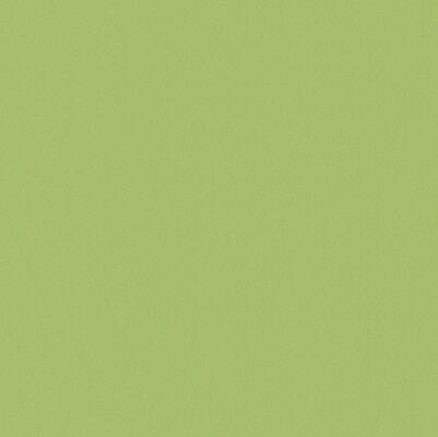 Casalgrande Padana Architecture Acid Green 60x60