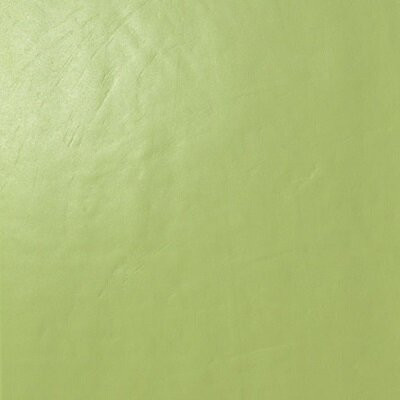 Casalgrande Padana Architecture Acid Green 30x30
