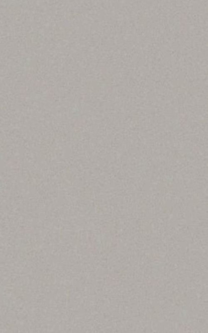 Casalgrande Padana Architecture Cool Grey 45x90