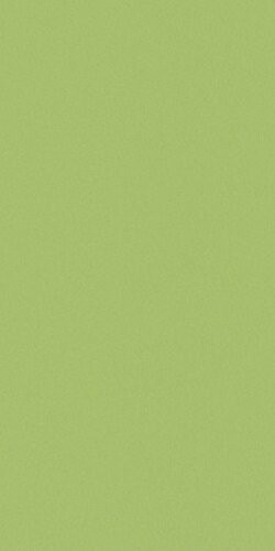 Casalgrande Padana Architecture Acid Green 30x60
