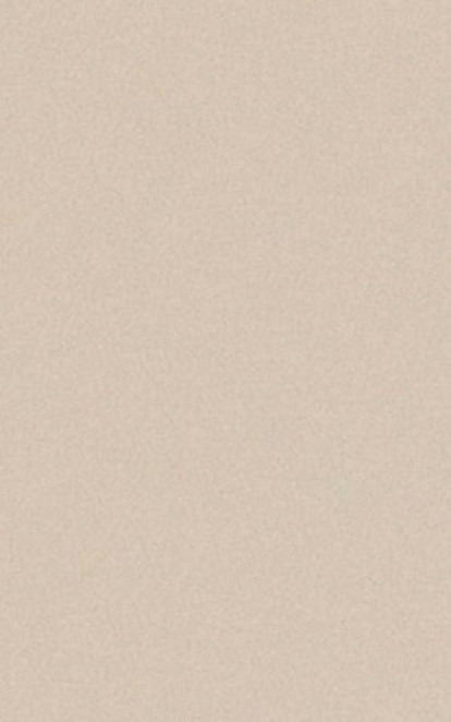 Casalgrande Padana Architecture Dark Ivory 45x90