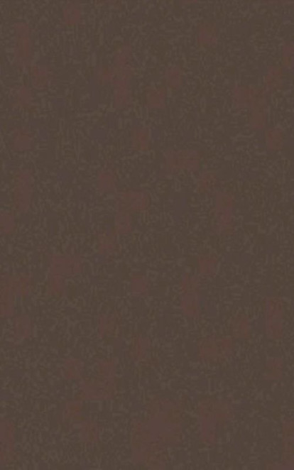 Casalgrande Padana Architecture Light Brown 45x90
