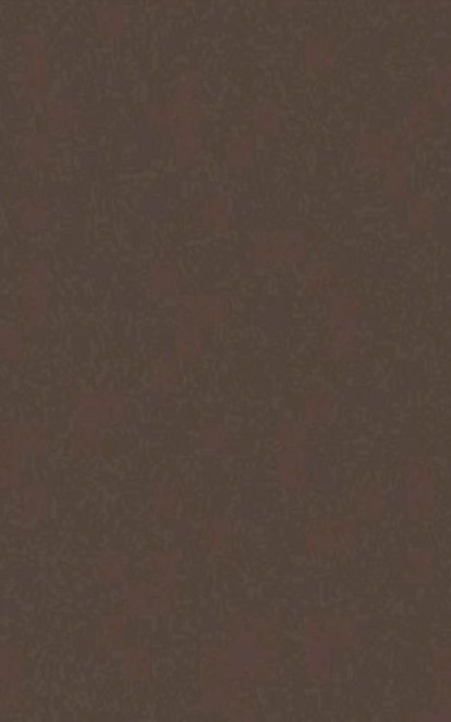 Casalgrande Padana Architecture Light Brown 30x60