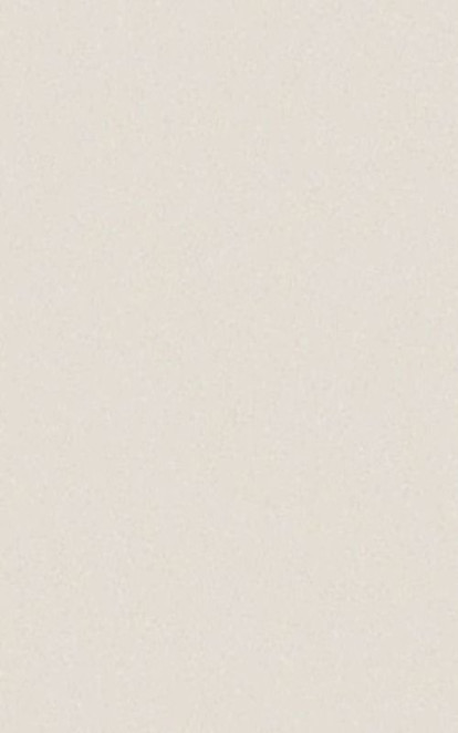 Casalgrande Padana Architecture White 10mm 45x90