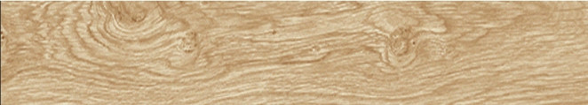 Porcelanosa Oxford Natural 19.3x120