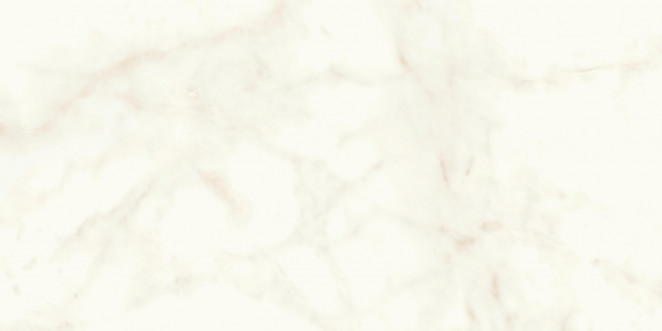 Atlas Concorde Marvel Shine Marvel Calacatta Delicato 60x120 Lappato