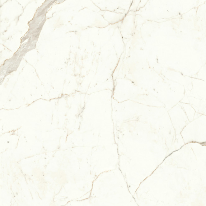 Atlas Concorde Marvel Shine Marvel Calacatta Prestigio 120x120 Matt