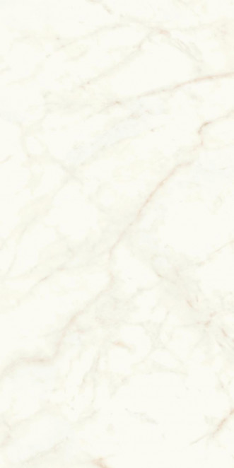 Atlas Concorde Marvel Shine Marvel Calacatta Delicato 120x240 Lappato