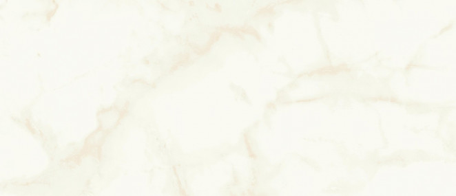 Atlas Concorde Marvel Shine Marvel Calacatta Delicato 50x120 Silk