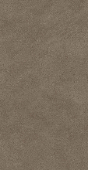 Atlas Concorde Boost Natural Umber 60x120 Grip