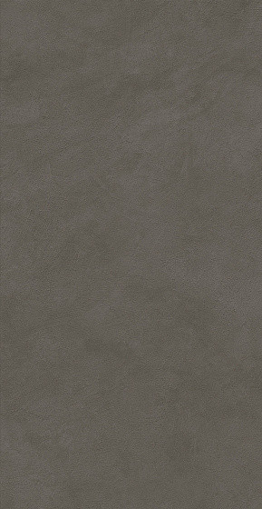 Atlas Concorde Boost Natural Coal 60x120