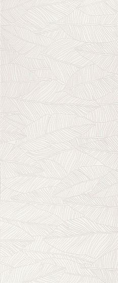 Atlas Concorde Aplomb White Leaf 50x120