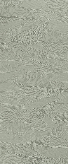 Atlas Concorde Aplomb Lichen Leaf Lux 50x120