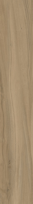 Kerranova Alleya Brown MR 20x120