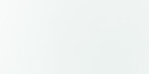 Neodom Ambassador Alaska White Glossy 60x120
