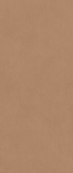 Atlas Concorde Boost Expression Sienna Matte 8,5 mm 50х120