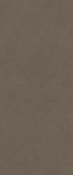 Atlas Concorde Boost Natural Pro Coffee Matte 50х120