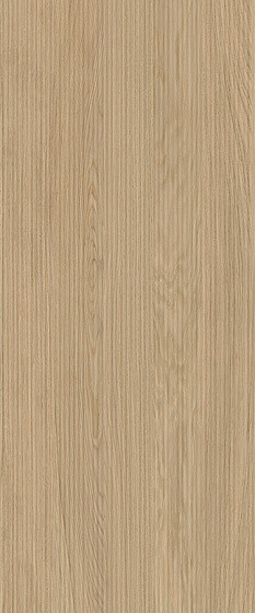 Atlas Concorde Log 3D Pleat Moon Oak 50х120