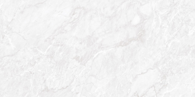 Neodom Ambassador Belvedere 60x120 Carrara Pearl Polished 60x120
