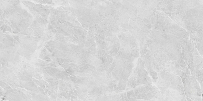 Neodom Ambassador Belvedere 60x120 Eva Grey Polished 60x120