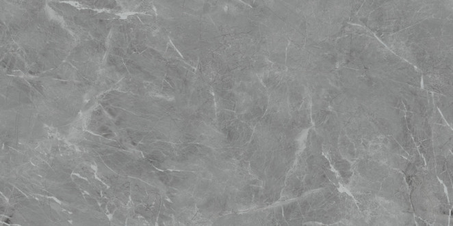 Neodom Ambassador Belvedere 60x120 Eva Gris Polished 60x120