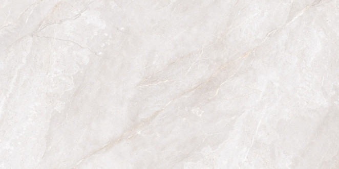 Neodom Ambassador Belvedere 60x120 Orobico Bianco Polished 60x120