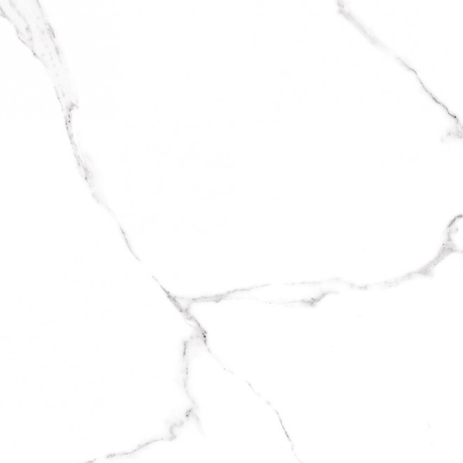 Alma Ceramica Carrara Alma GFU04CRR00R 60x60