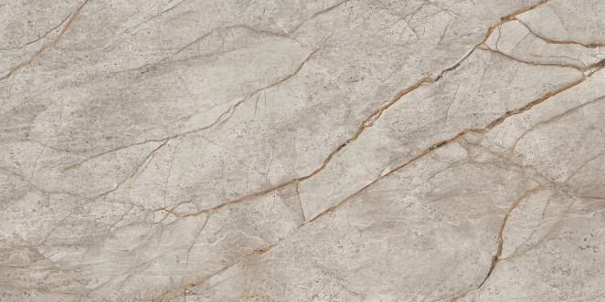 Atlas Concorde Russia Empire Silver Root 60x120