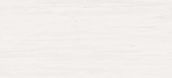 Atlas Concorde Marvel Stone Bianco Dolomite 50x110