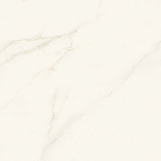 Atlas Concorde Marvel X 120х120 см Calacatta Apuano Silk 9 mm