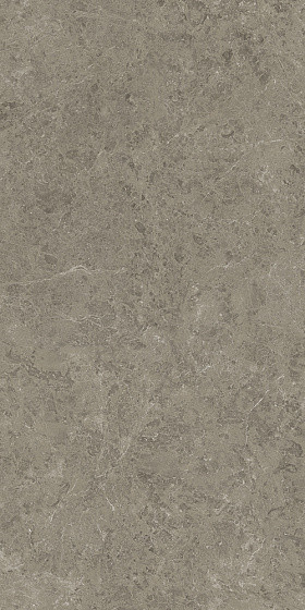 Atlas Concorde Marvel Meraviglia 120х240 см MERAVIGLIA Grigio Elegante Lappato 9 mm