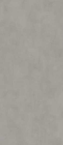 Atlas Concorde Boost Balance 120х278 см Grey Matt 6 mm