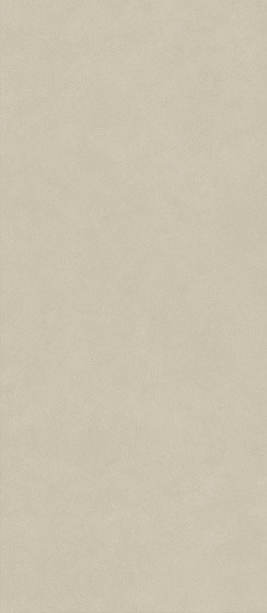 Atlas Concorde Boost Natural Pro 120х278 см Cinder Matte 6 mm