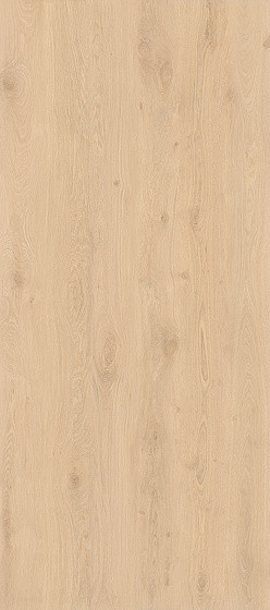 Atlas Concorde Log 120х278 см Natural Bright Oak 6 mm